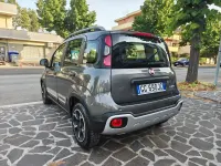 Usata Fiat Panda Cross Cross 70 CV (51 kW) 2021 Grigio Utilitaria