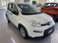 Usata Fiat Panda S 69 CV (50 kW) 2023 Bianco Utilitaria