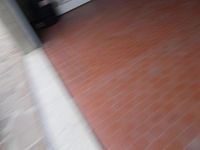 Nuova Fiat 500 65 CV (47 kW) 2026 Verde Utilitaria