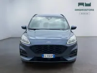 Occasion Ford Kuga ST-Line X 225 ch (165 kW) 2023 Bleue SUV