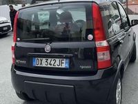Usata Fiat Panda Active 54 CV (39 kW) 2009 Utilitaria