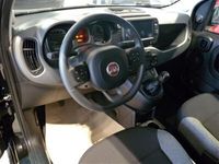 usata Fiat Panda Cross 1.0 FireFly S&S Hybrid City usato