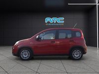 Usata Fiat Panda S 69 CV (50 kW) 2024 Rosso Utilitaria