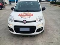 Usata Fiat Panda Easy 69 CV (50 kW) 2017 Bianco Utilitaria