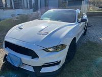 usata Ford Mustang Fastback 2.3 ecoboost pacchetto Shelby
