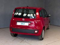 Nuova Fiat Panda Icon 94 CV (69 kW) 2025 Rosso Utilitaria