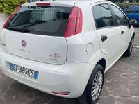 Usata Fiat Punto Easy 69 CV (50 kW) 2014 Utilitaria