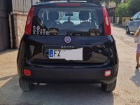Usata Fiat Panda Easy 69 CV (50 kW) 2019 Nero Utilitaria
