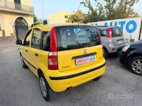 Usata Fiat Panda Dynamic 77 CV (56 kW) 2011 Giallo Utilitaria