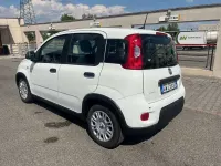 Usata Fiat Panda S 69 CV (50 kW) 2024 Bianco Utilitaria