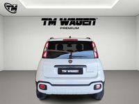 Usata Fiat Panda Cross Cross 70 CV (51 kW) 2024 Bianco Utilitaria