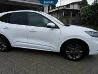 Usata Ford Kuga ST-Line X 190 CV (139 kW) 2023 Bianco SUV