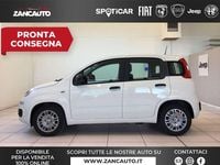 Nuova Fiat Panda Pop 65 CV (47 kW) 2026 Bianco Berlina