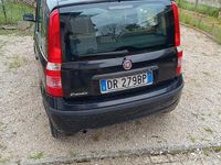 Usata Fiat Panda 60 CV (44 kW) 2008 Utilitaria