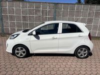 Usata Kia Picanto 68 CV (50 kW) 2016 Bianco Utilitaria