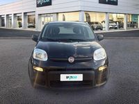 Usata Fiat Panda S 69 CV (50 kW) 2023 Nero Utilitaria