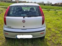 Usata Fiat Punto Active 60 CV (44 kW) 2009 Utilitaria