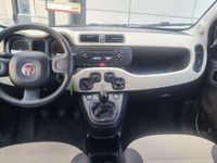Usata Fiat Panda Easy 69 CV (50 kW) 2016 Beige Utilitaria
