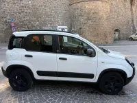 Usata Fiat Panda Cross Cross 69 CV (50 kW) 2020 Bianco Utilitaria