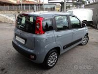 Usata Fiat Panda Easy 69 CV (50 kW) 2019 Grigio Utilitaria