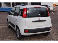 usata Fiat Panda 1.2 Lounge