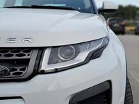 Usata Land Rover Range Rover evoque 150 CV (110 kW) 2016 Bianco SUV