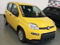 Usata Fiat Panda Red 69 CV (50 kW) 2024 Giallo Utilitaria