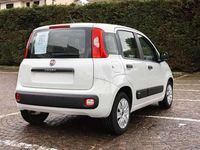 Usata Fiat Panda 95 CV (69 kW) 2016 Bianco Utilitaria