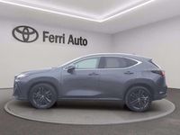 Usata Lexus NX350h 244 CV (179 kW) 2023 Sonic titanium SUV