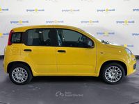 Nuova Fiat Panda Cross Cross 69 CV (50 kW) 2026 Giallo Utilitaria