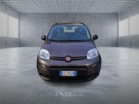 Usata Fiat Panda S 70 CV (51 kW) 2021 Gray Berlina