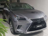 usata Lexus NX300h NX 300h2.5 Premium 4wd cvt