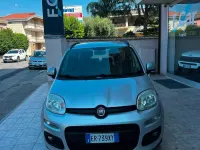 Usata Fiat Panda Easy 69 CV (50 kW) 2013 Argento Utilitaria