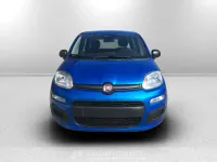 Nuova Fiat Panda S 70 CV (51 kW) 2025 Tessuto nero con monogramma fiat  fascia plancia antracite Utilitaria