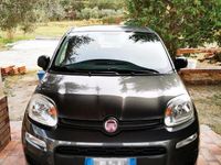 usata Fiat Panda 1.2 easypower Lounge Gpl 69cv