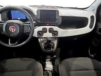 Usata Fiat Panda S 70 CV (51 kW) 2025 Blu Utilitaria
