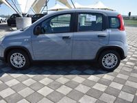 usata Fiat Panda 1.0 70CV HYBRID