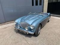 Usata Austin Healey 100 90 CV (66 kW) 1954 Altri Cabrio