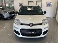 Usata Fiat Panda Easy 69 CV (50 kW) 2019 Bianco Utilitaria
