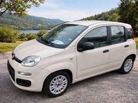 Usata Fiat Panda Easy 69 CV (50 kW) 2015 Bianco Utilitaria