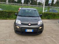 Usata Fiat Panda Cross Cross 70 CV (51 kW) 2023 Grigio Utilitaria