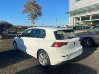Usata VW Golf VIII Life 150 CV (110 kW) 2024 Bianco Berlina