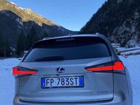 Usata Lexus NX300h E-FOUR Executive Line 196 CV (144 kW) 2018 SUV
