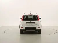 Usata Fiat Panda City Life 71 CV (52 kW) 2023 Bianco Utilitaria