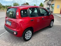 Usata Fiat Panda Pop 69 CV (50 kW) 2015 Rosso Utilitaria