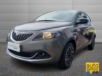 Usata Lancia Ypsilon Gold 69 CV (50 kW) 2024 Grigio Utilitaria