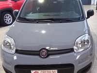 Usata Fiat Panda S 69 CV (50 kW) 2021 Grigio Berlina