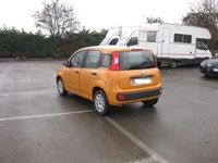 Usata Fiat Panda Easy 69 CV (50 kW) 2020 Arancio sicilia Utilitaria