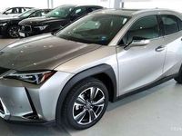 usata Lexus UX Hybrid Executive del 2019 usata a Pescara