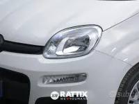 Nuova Fiat Panda 69 CV (50 kW) 2025 Bianco Utilitaria